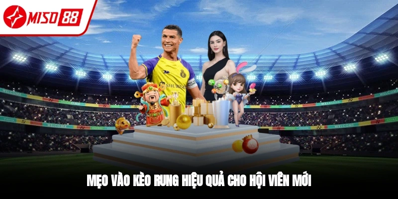 Mẹo vào tiền kèo rung bóng đá hiệu quả nhất